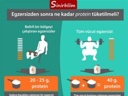 Egzersiz Öncesi ve Sonrası Protein Tüketimi