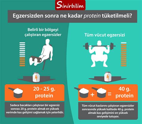 Egzersiz Öncesi ve Sonrası Protein Tüketimi Egzersiz Öncesi ve Sonrası Protein Tüketimi