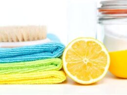 Eviniz İçin Doğal Temizlik Ürünleri Tarifleri