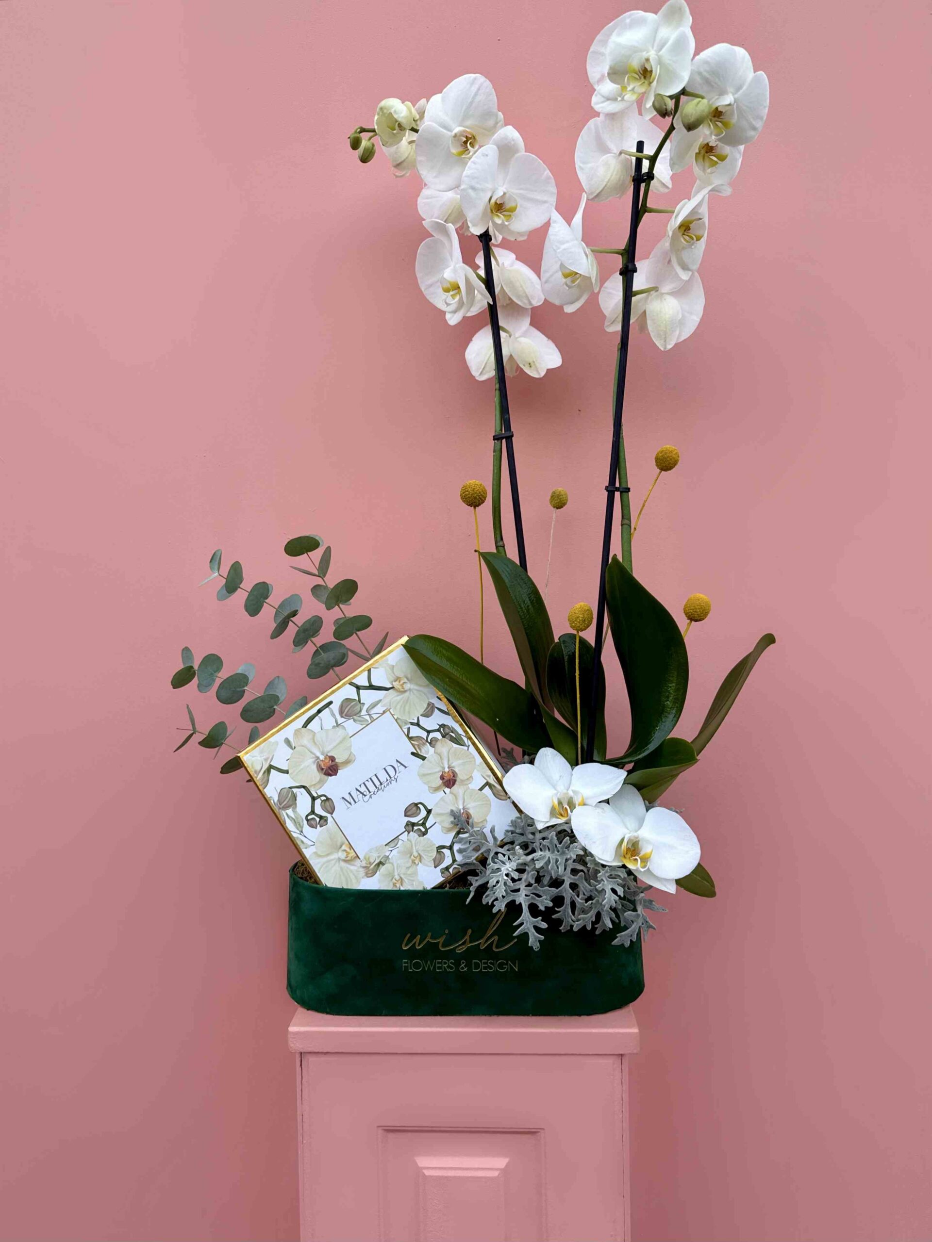 Öğretmenler Günü Çiçeği Seçimi: En Güzel Buket ve Aranjman Önerileri