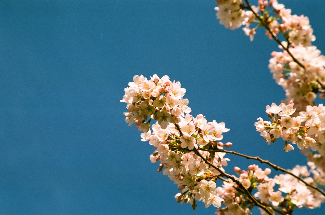 Bahar Yorgunluğunu Atmanın Yolları: Doğal Enerji Arttırma Yöntemleri